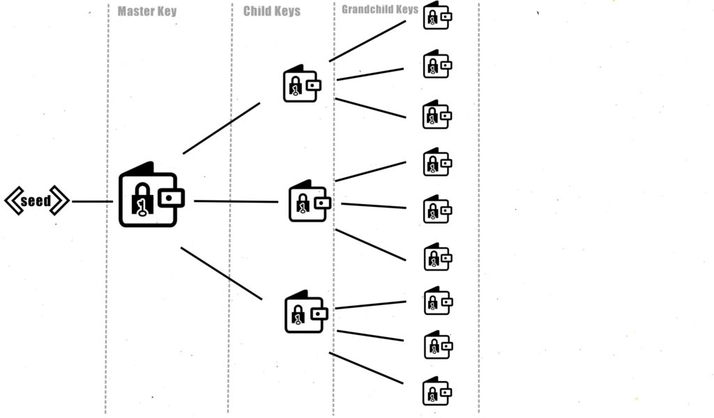 HD wallets hierarchical tree.
