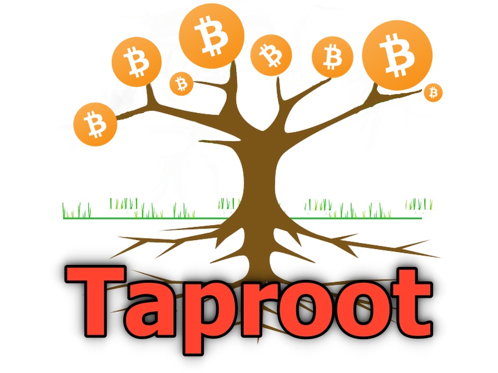 bitcoin taproot